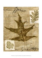 Mini Leaf Collage II (ST) by Kate Archie - 10" x 13" - $10.49