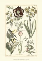 Floral Bounty III Fine Art Print