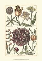 Floral Bounty V Fine Art Print