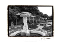Garden Elegance II Fine Art Print