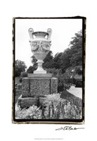 Garden Elegance V Fine Art Print