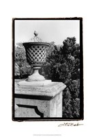 Garden Elegance VI Fine Art Print