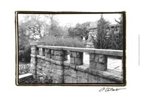 Garden Grace I Fine Art Print