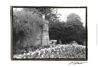 Garden Grace II Fine Art Print