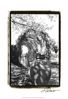 Garden Grace IV Fine Art Print