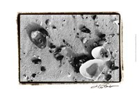 Sand Treasures I Fine Art Print