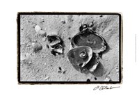 Sand Treasures II Fine Art Print