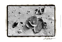 Sand Treasures III Fine Art Print