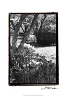 Springtime Garden IV Fine Art Print