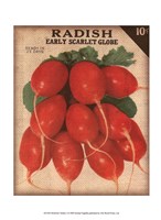 Heirloom Variety I Fine Art Print