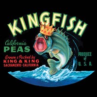 Kingfish Fine Art Print