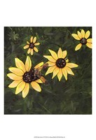 Indian Summer II Fine Art Print