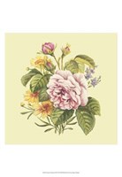 Summer Bouquet III Fine Art Print