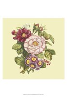 Summer Bouquet IV Fine Art Print