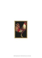 Single Rooster (IP) I Fine Art Print