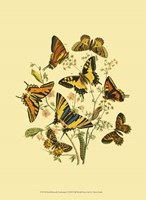 Small Butterfly Gathering I Fine Art Print