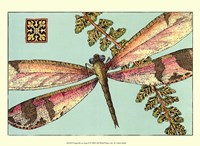 Dragonfly on Aqua II Fine Art Print