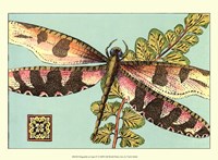 Dragonfly on Aqua IV Fine Art Print