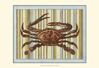 Seashore Crab Fine Art Print