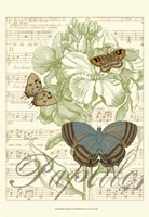 Papillon Melange I Fine Art Print