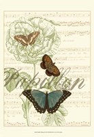 Papillon Melange II Fine Art Print