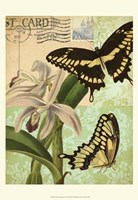 Nature's Tapestry II Fine Art Print