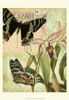 Nature's Tapestry IV Fine Art Print