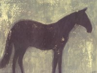 Grey Horse Fine Art Print