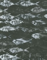 Fossilized I Fine Art Print