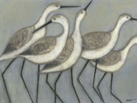 Shore Birds II Fine Art Print
