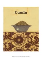 Exotic Spices - Cumin Framed Print