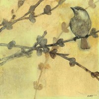 Solitude II Framed Print