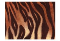 Tiger I Framed Print