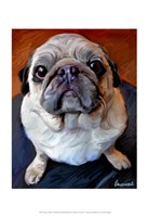 Pug on a Rug Fine Art Print