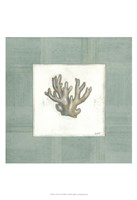 Sea Breeze IV Fine Art Print