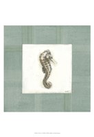 Sea Breeze V Fine Art Print