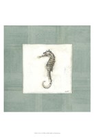 Sea Breeze VI Fine Art Print