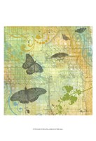 Butterflies I Framed Print