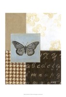 Chic Butterfly II Framed Print
