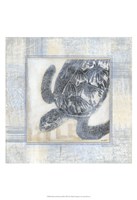 Driftwood Memories III Fine Art Print