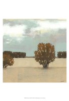 The Scent of Rain II Framed Print