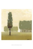 Moss Grove I Framed Print