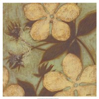 Time Worn Blossoms II Framed Print