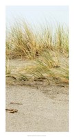 Dunes I Fine Art Print