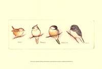 Life of a Songbird III Fine Art Print