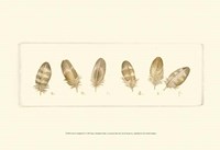 Life of a Songbird IV Fine Art Print