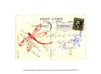 Postcard Dragonfly IV Fine Art Print