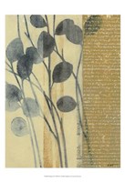 Whisper II Framed Print