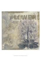 Beautiful Flowers II Framed Print