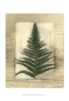 Texturized Fern I Fine Art Print